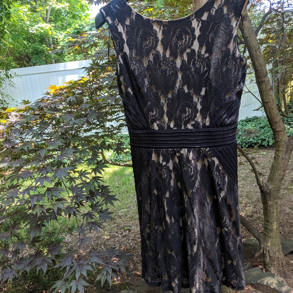 Sleeveless floral lace fit and flare dress